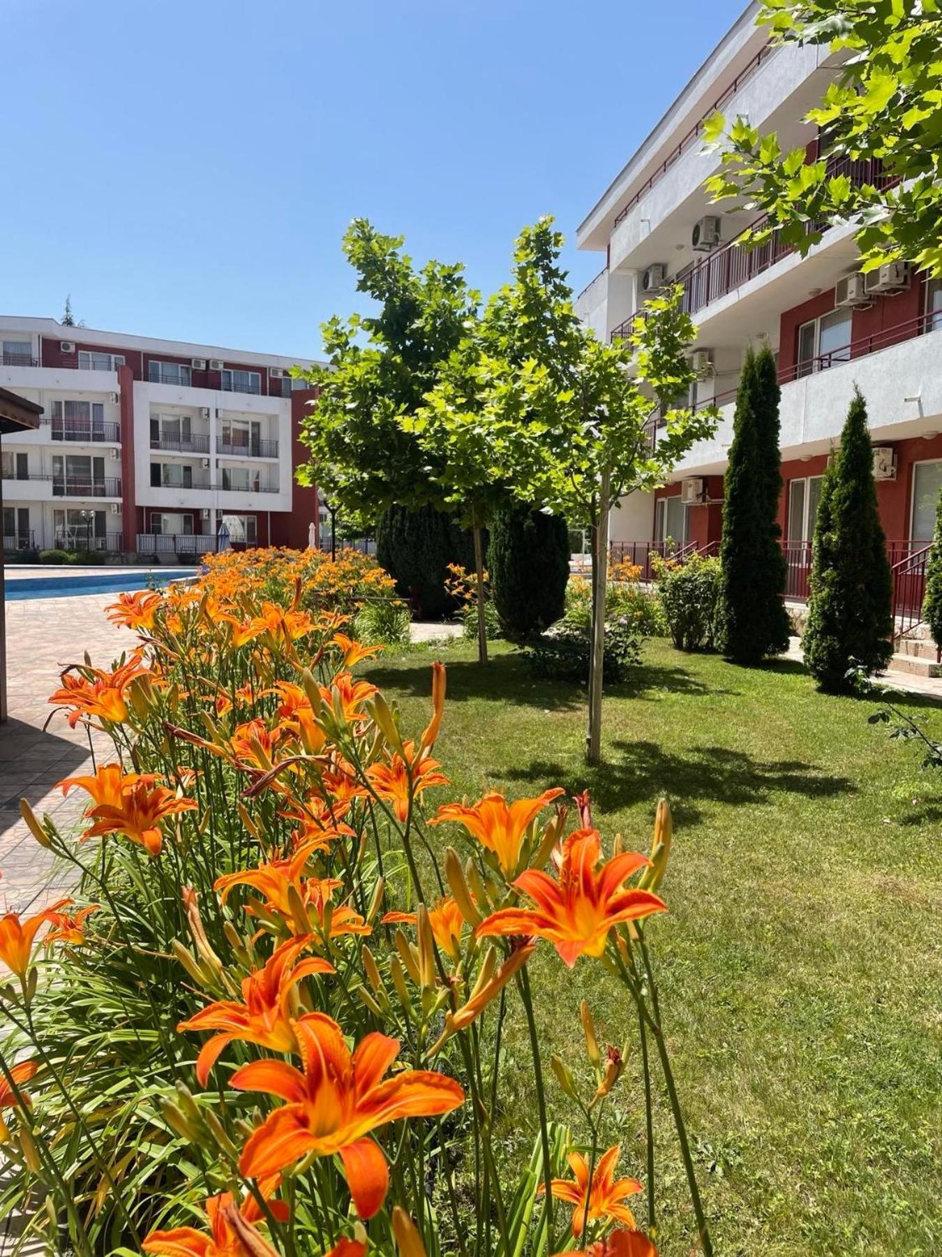Noks Sp Apartments-elenite